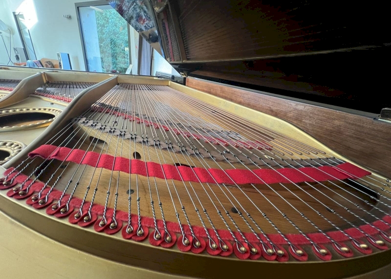 Très beau piano demi queue C.Bechstein à vendre dans le Vaucluse