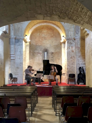 Technicien et accordeur 