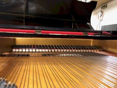 Le remplacement à neuf des étouffoirs d'un piano haut de gamme Le remplacement à neuf des étouffoirs d'un piano haut de gamme